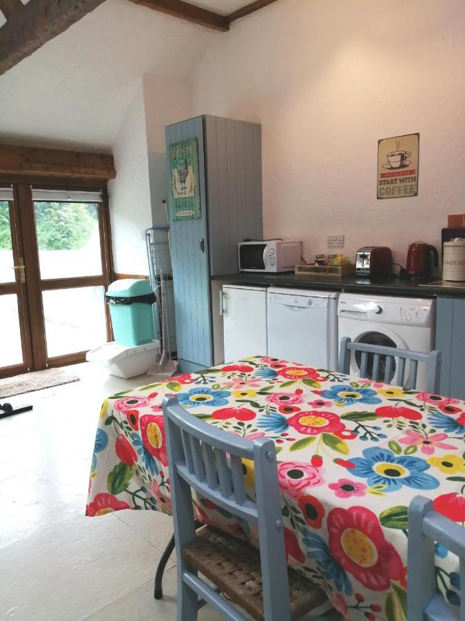 Killarney Saoirse Cottage Zewnętrze zdjęcie
