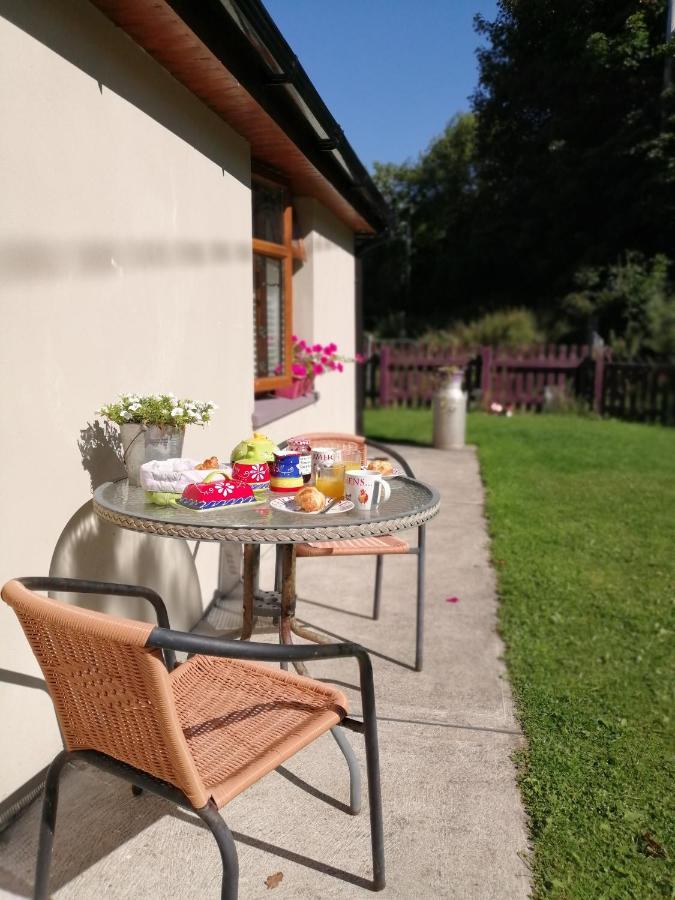 Killarney Saoirse Cottage Zewnętrze zdjęcie