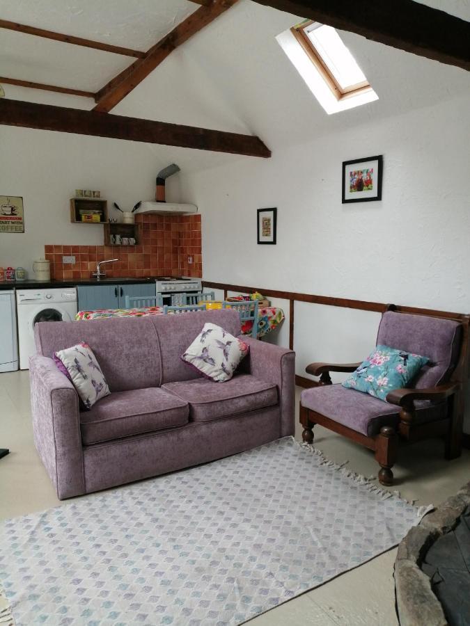 Killarney Saoirse Cottage Zewnętrze zdjęcie
