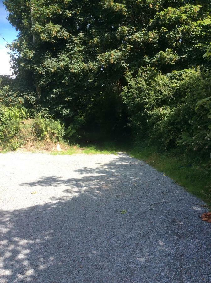 Killarney Saoirse Cottage Zewnętrze zdjęcie