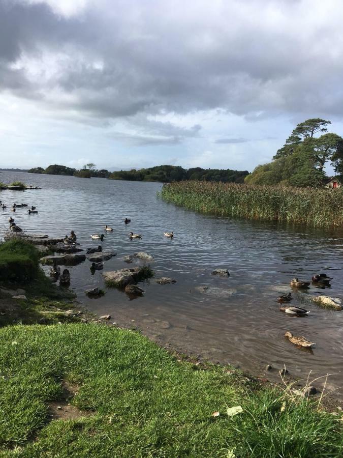 Killarney Saoirse Cottage Zewnętrze zdjęcie